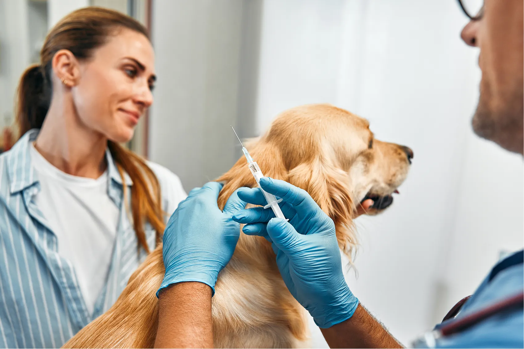 Vaccination et <b>parasites</b>